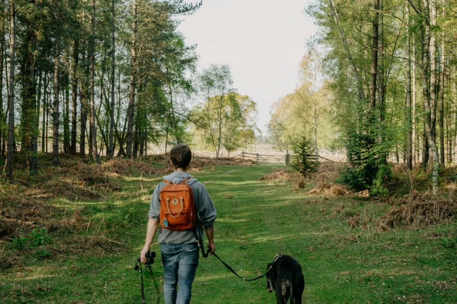 Lodges at Fort Mill man walking dog on a trail in the woods.