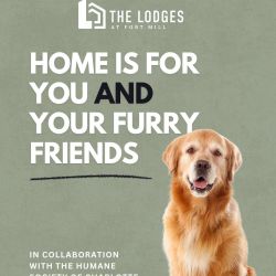 Our friends at the Humane Society of Charlotte are doing incredible work finding homes for pets in need — and we’re thrilled to help!

Adopt a pet through the Humane Society, and Lodges at Fort Mill will waive your one-time pet fee. Because every furry friend deserves a loving home (and no restrictions to hold them back). 🐾💙