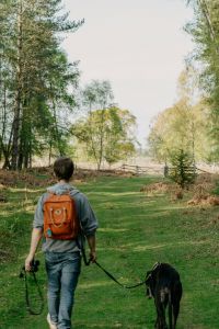 Lodges at Fort Mill man walking dog on a trail in the woods.