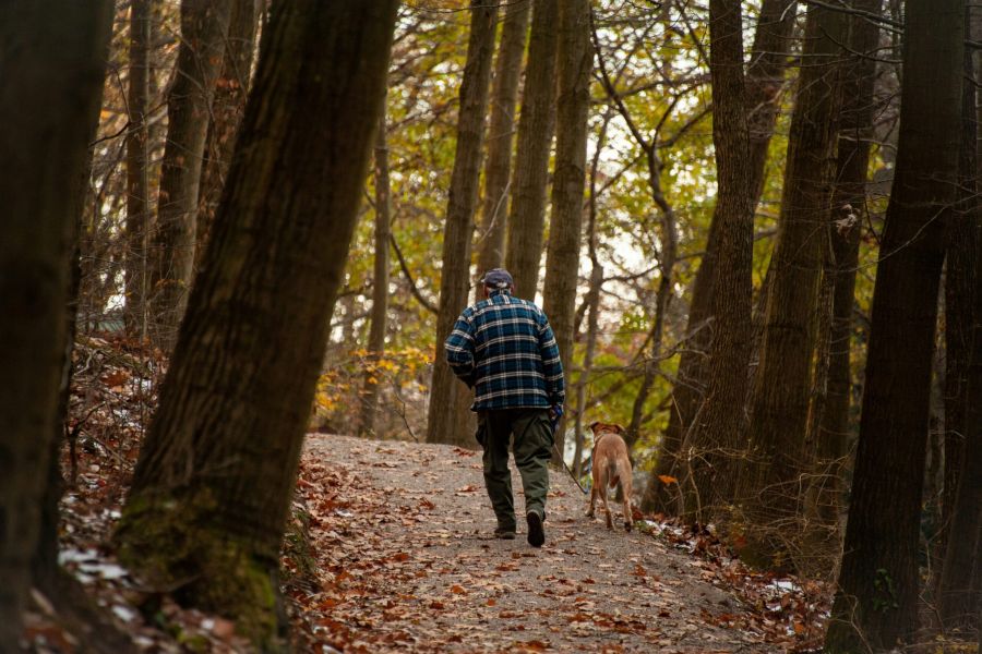 Lodges at Fort Mill man walking dog on a trail in the woods.