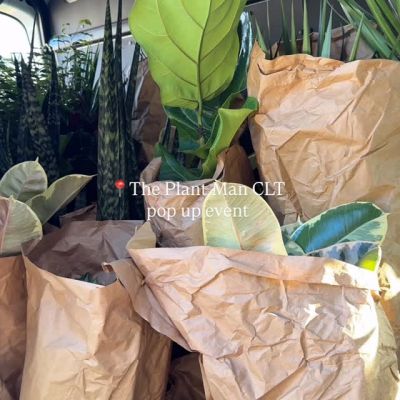We had a great time hosting @theplantmanclt and @costco for a special pop-up event last night! 🌿 Costco’s grand opening is just around the corner — happening October 31st! 🎉

#plantmanclt #rockhill #fortmill #charlotte #plants #costco #indianland #sc #nc