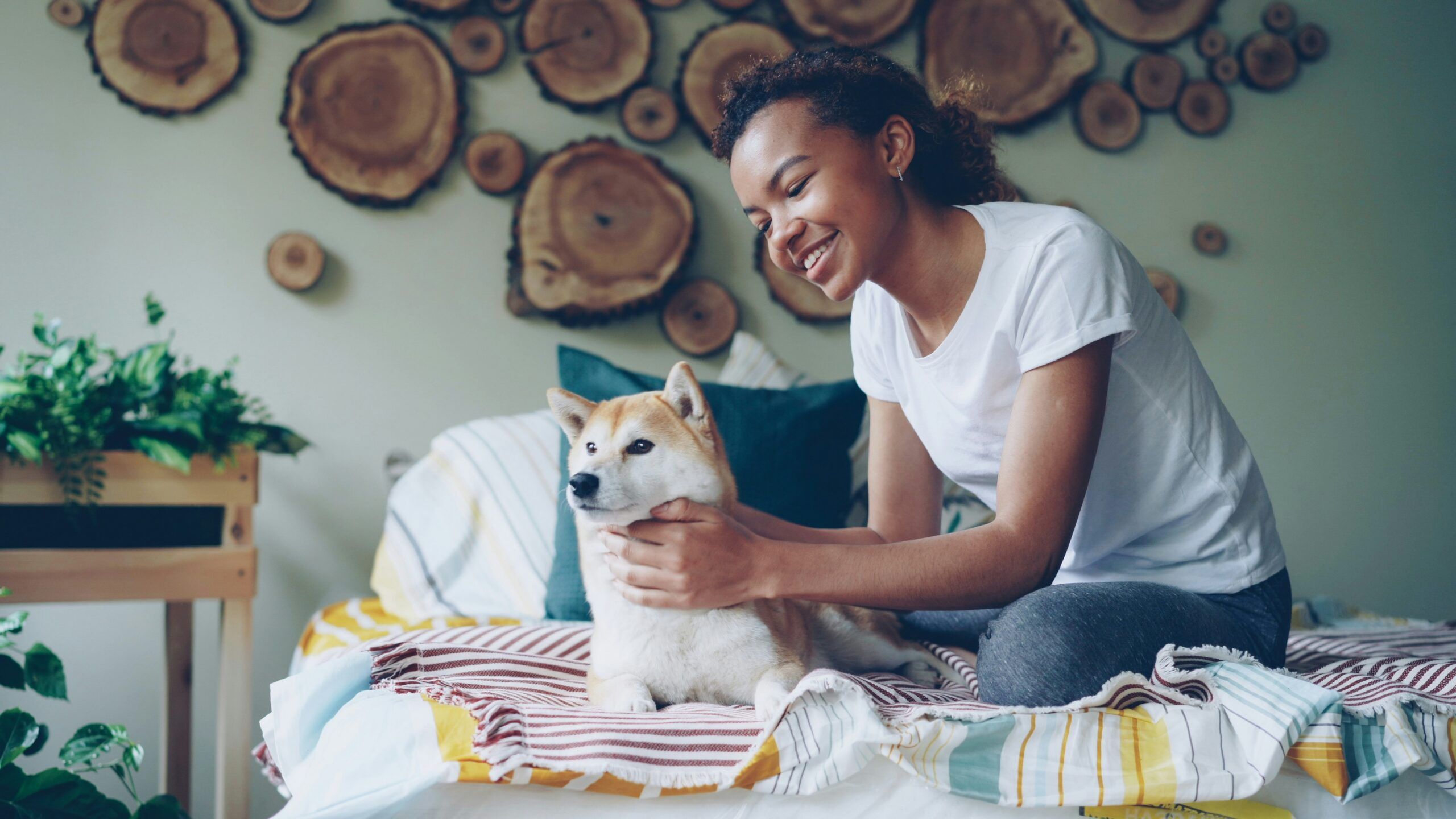 A person petting their dog in an apartment at The Lodges at Fort Mill.