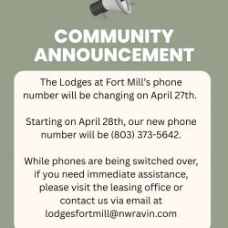 🚨NEW number who’s this?? We got a new office number, starting on 04/28 our new office number will be 803-373-5642📞