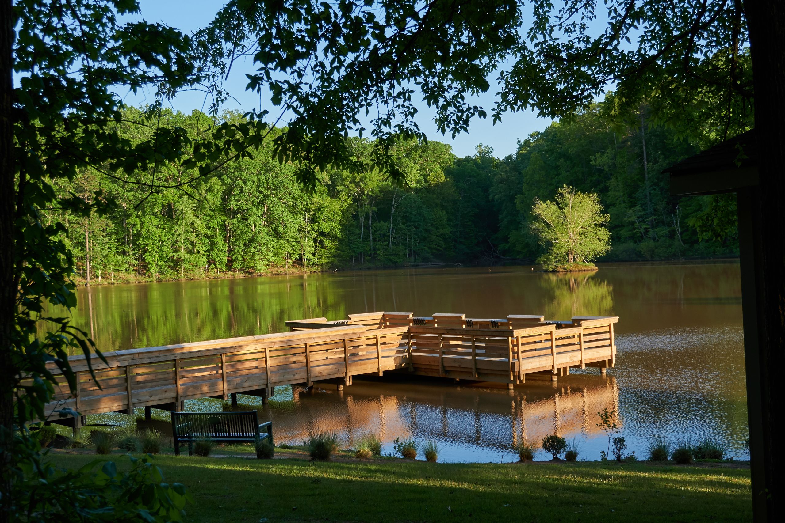 The wooden dock at The Lodges at Fort Mill extends over a calm lake surrounded by lush greenery; a bench is situated on the grassy shore.