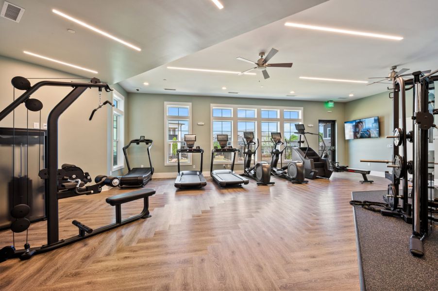 Modern gym with cardio and weight machines, large windows, wood-patterned floor, and ceiling lights.