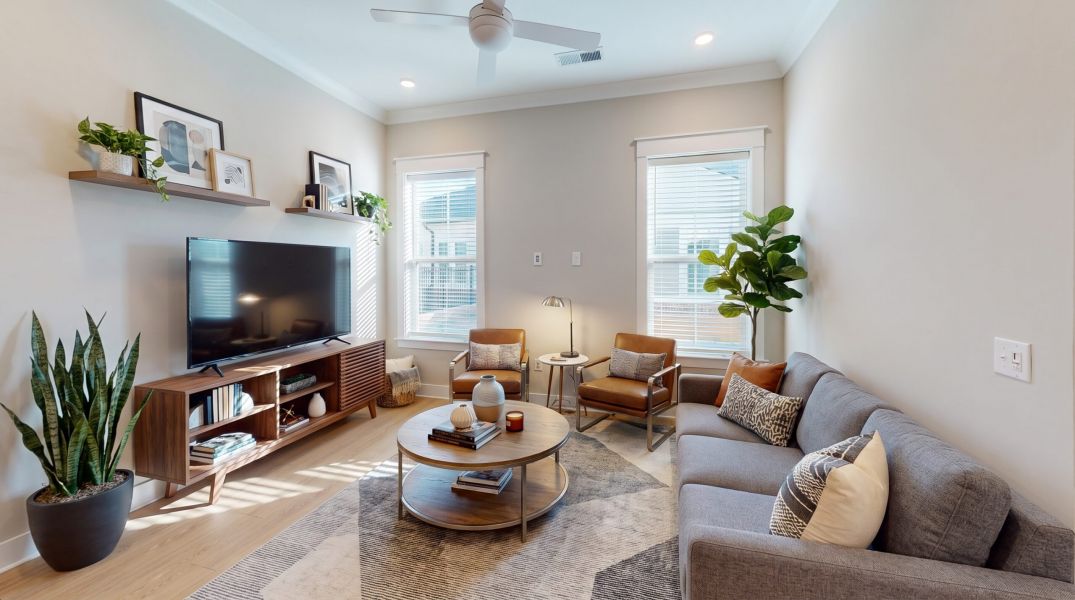 Modern living room with gray sofa, TV, plants, two chairs, a round coffee table, and large windows with blinds letting in natural light.