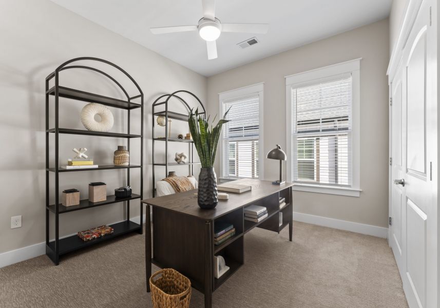 A home office with a dark wooden desk, a potted snake plant, a lamp, and two arched metal bookshelves.